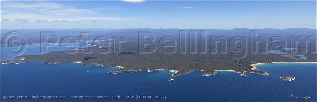 Peter Bellingham Photography Murramarang National Park - NSW (PBH4 00 16377)